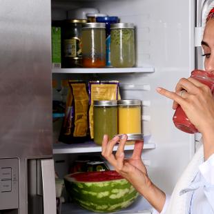 تغذیه دوران شیردهی تغذیه دوران شیردهی
