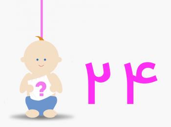 هفته بیست و چهارم بارداری هفته بیست و چهارم بارداری